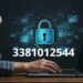 3381012544