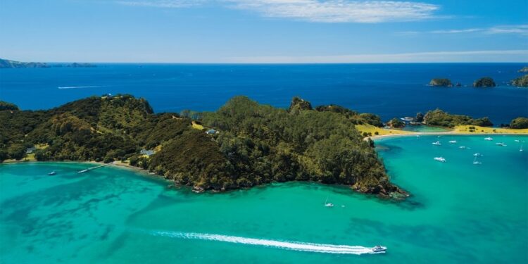 An NZ Escape Doesn’t Always Start as a Clear Plan