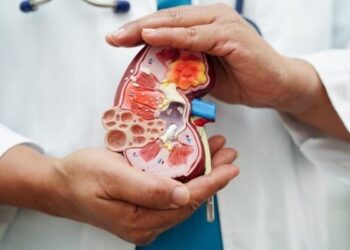 Kidney Transporter Assays Explained: Practical Clarity