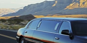 Professional Limousine