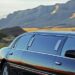 Professional Limousine