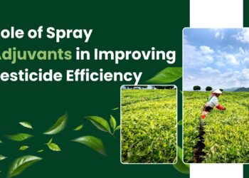 Role of Spray Adjuvants in Improving Pesticide Efficiency