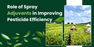 Role of Spray Adjuvants in Improving Pesticide Efficiency