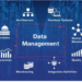 Master Data Management: Why It’s Important for Your Business