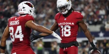 arizona cardinals vs carolina panthers match player stats