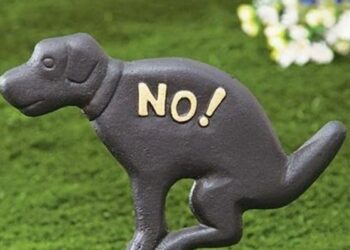 how to prevent dogs from pooping in your yard