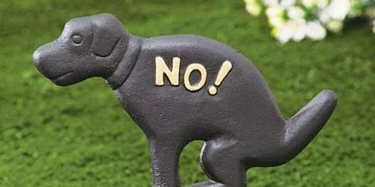 how to prevent dogs from pooping in your yard