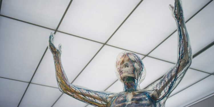 Why Early Diagnosis Plays a Critical Role in Long-Term Wellness