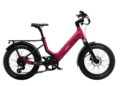 E-Bikes