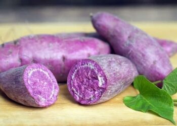 what is ube taste like