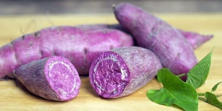 what is ube taste like