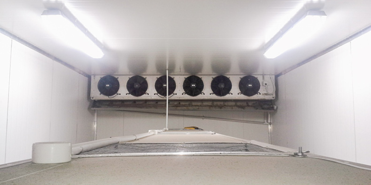 How Commercial Refrigeration Impacts Cool Room Performance