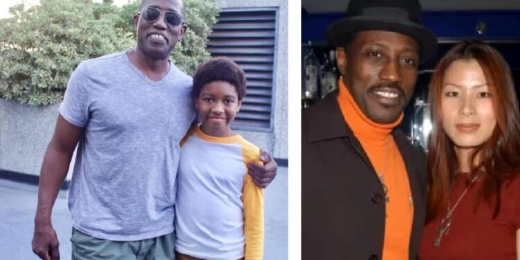 alimayu moa-t snipes