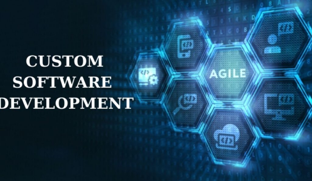custom software development