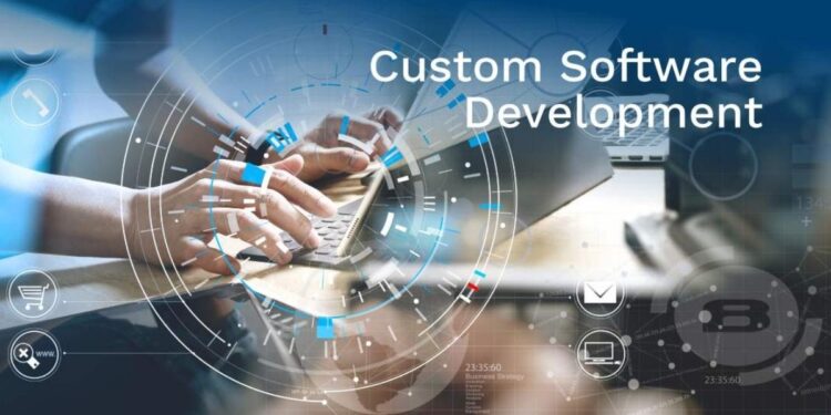 custom software development
