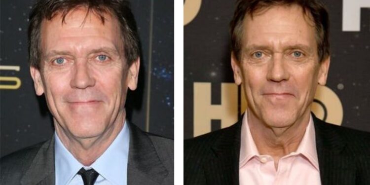 hugh laurie net worth