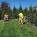 Lawn Mowing Near You For Neatly Maintained Outdoor Spaces