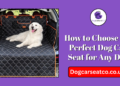 Dog Car Seat