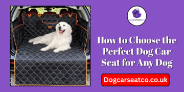 Dog Car Seat