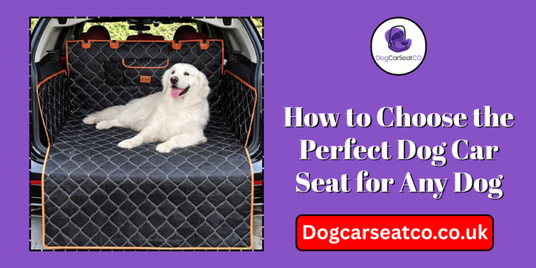 Dog Car Seat