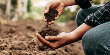 A Complete Guide to Choosing the Right Garden Care Products for Healthy Plants and Soil