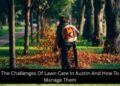 The Challenges Of Lawn Care In Austin And How To Manage Them