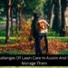 The Challenges Of Lawn Care In Austin And How To Manage Them