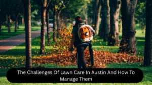 The Challenges Of Lawn Care In Austin And How To Manage Them