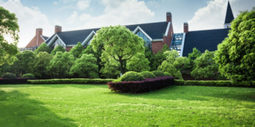 Why Switching To Eco-Friendly Lawn Services Is A Smart Choice