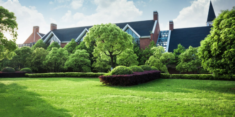 Why Switching To Eco-Friendly Lawn Services Is A Smart Choice