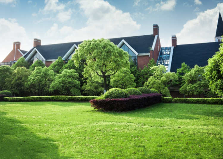 Why Switching To Eco-Friendly Lawn Services Is A Smart Choice