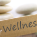 Holistic Wellnes