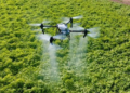 Agriculture